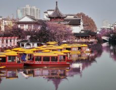 Descubre la fascinante historia del té en el Museo de Hangzhou: Un recorrido imperdible