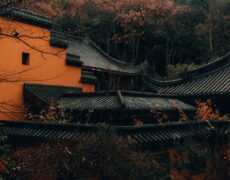 Explora la mágica Ciudad Antigua de Wuzhen en Zhejiang: Un destino imperdible en China