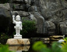Descubre las impresionantes Montañas de Longquan en Zhejiang: Un paraíso natural por explorar