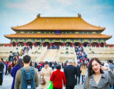 Descubre la región autónoma de Ningxia: el paraíso del vino en el suroeste de China