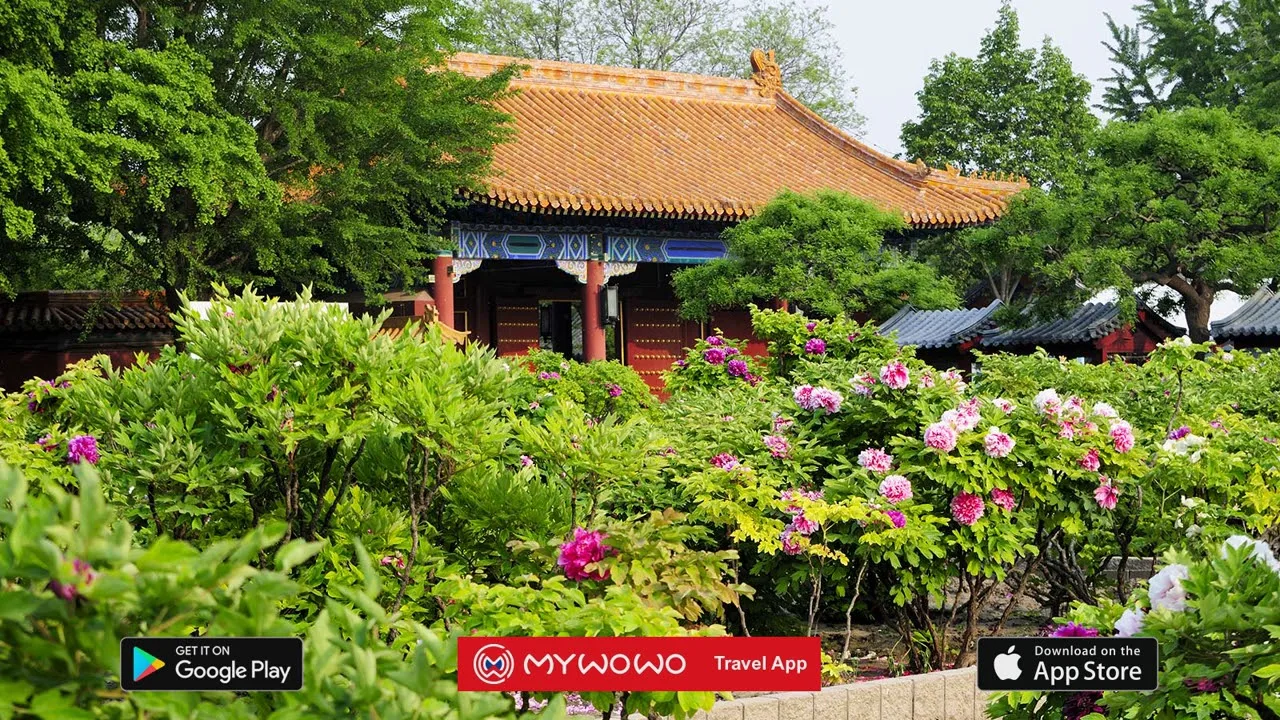 Descubre la belleza del Parque de la Gente en Pekín: una experiencia única en China