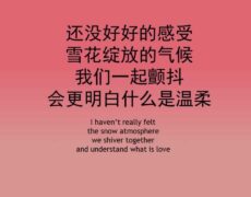 Descubre la magia de «红豆» de Faye Wong: La canción que conquistó el corazón de Asia