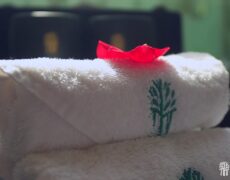 Descubre la magia del Hotel Banyan Tree Lijiang Yunnan: Un paraíso en el corazón de China