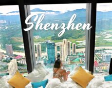 Descubre el lujo y elegancia del Hotel The St. Regis Shenzhen: ¡una experiencia inolvidable!
