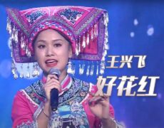 Descubre la fascinante música de la etnia Buyi (布依族音乐) en este imperdible post