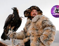 Descubre la fascinante música mongola (蒙古音乐): tradición, historia y sonidos cautivadores