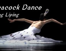 Descubre la fascinante Música de Danza del Pavo Real (孔雀舞): Historia, Significado y Ejemplos