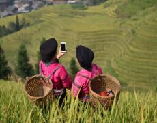 Descubre la adrenalina de practicar parapente en las impresionantes Montañas de Wuyi