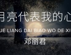 Descubre la historia detrás de la canción «月亮代表我的心» de Teresa Teng – El éxito que conquistó corazones en todo el mundo