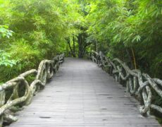 Descubre los encantos del turismo en Zhongshan: la joya oculta de China