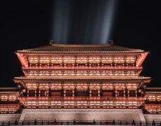 Descubre la fascinante historia de Shanghái en el Museo de Historia Natural: Una visita imperdible