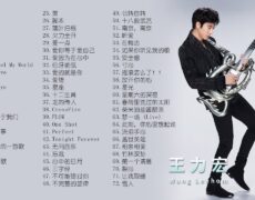 Descubre todo sobre la estrella del pop asiático: Wang Leehom (王力宏)